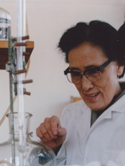 ������_��ƹ���