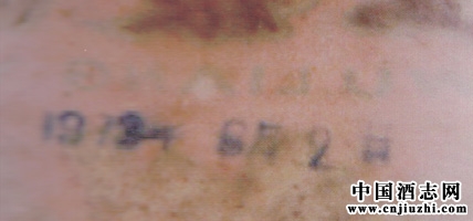 1973������Һ��������ϸ��