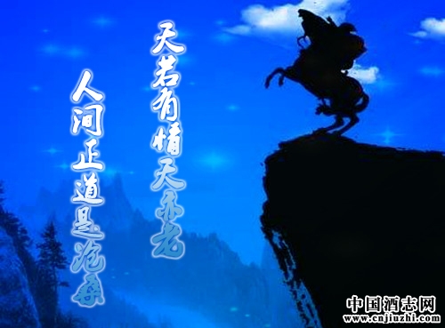 天若有情 天若有情