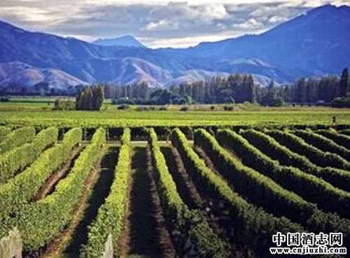 �پ���ת���������Ѳ�ҵ�Ļ����Ȼ����γ���