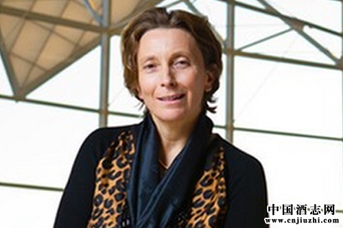 ��ͷ������CEO˳��ͨ�������� ��ʽ����