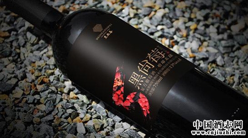 DSW“中国树莓酒”专场品鉴会即将举办