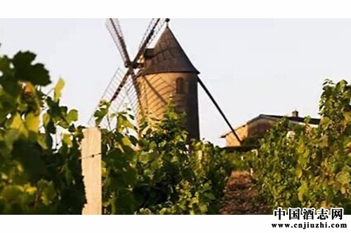 UVB�����˳�ODG��֯ �������ּ��ƶ�������