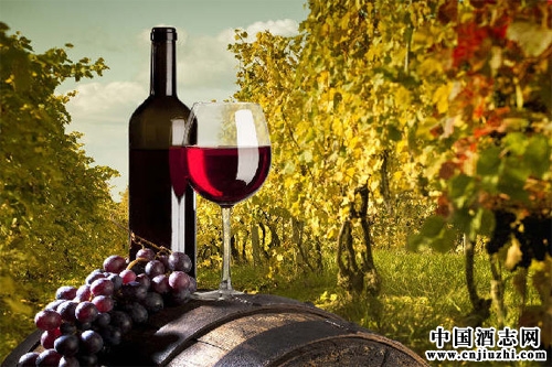 ר�ҡ����С��ĺ����������ѾƲ���