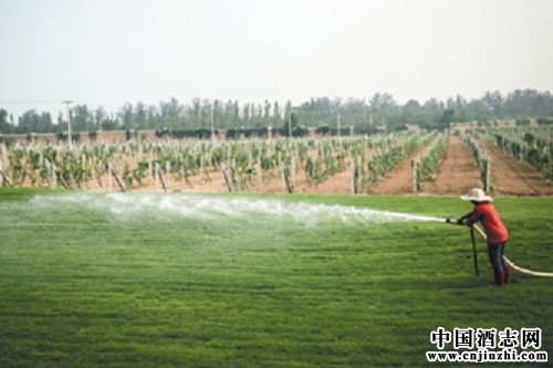 �¾��������£��������ѾƲ��������Ծ