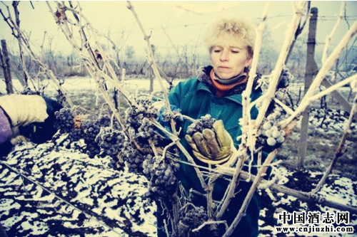 �������ѩ������Ϯ�����ƽ������ķ�