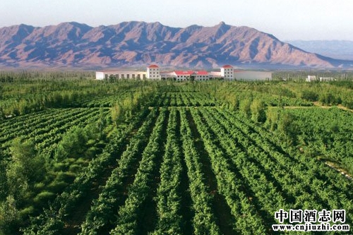 ����������ׯ���Ѿ�ʵ�ֳ���