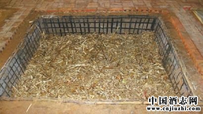 ���ڽѳ��﷢�͵Ĺ�̬����