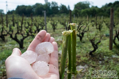 �����������ѾƲ����ٴ����ܱ���Ϯ��