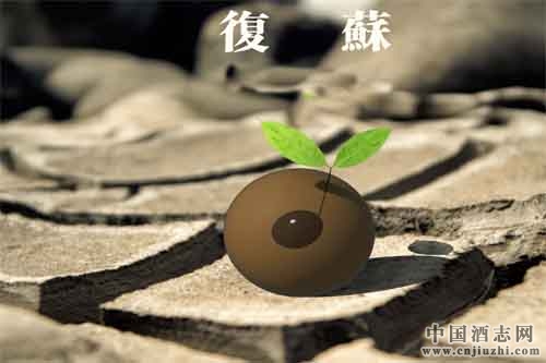 �׾���ҵ���գ�����ǰ�����粼��