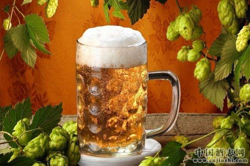 �𾪿�磡�����Ƴ�������ζơ��