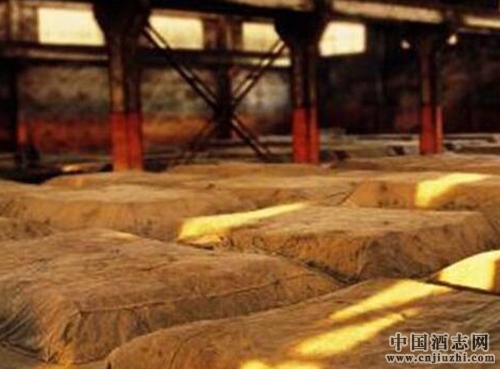 ʼ������