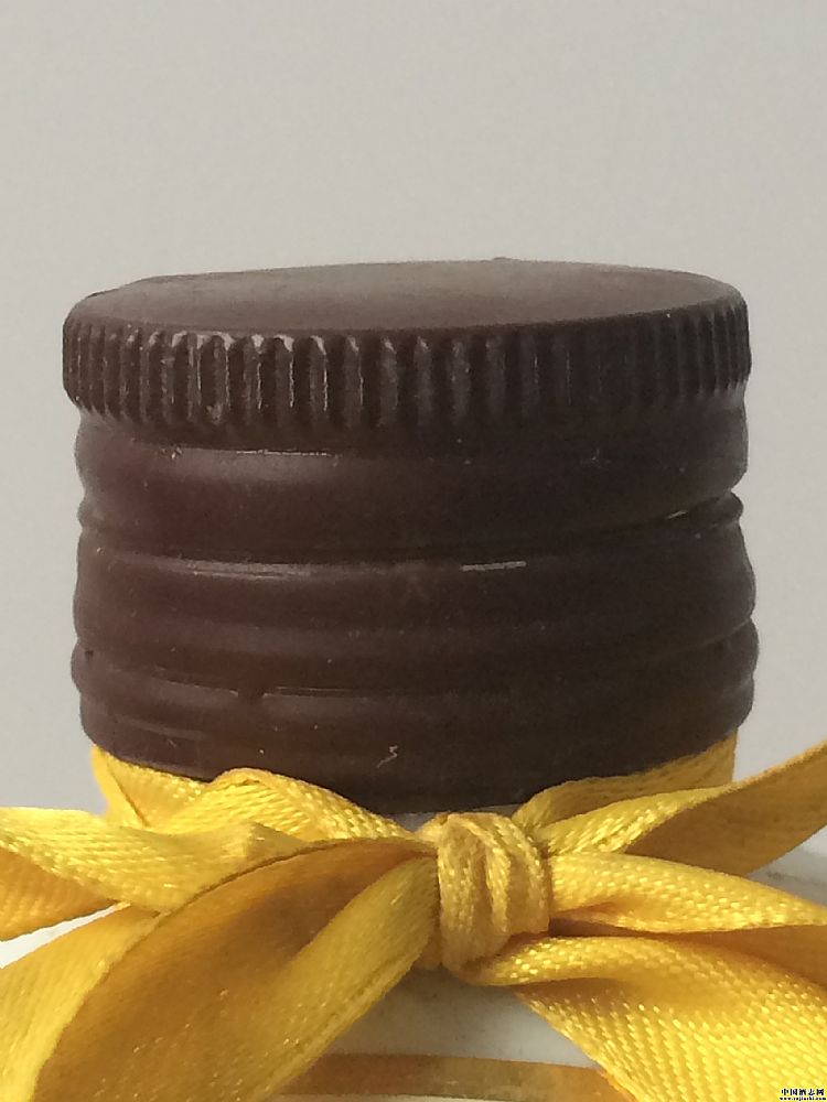 ��Ϳ����