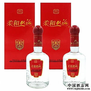 ���˫��&nbsp450ml53��